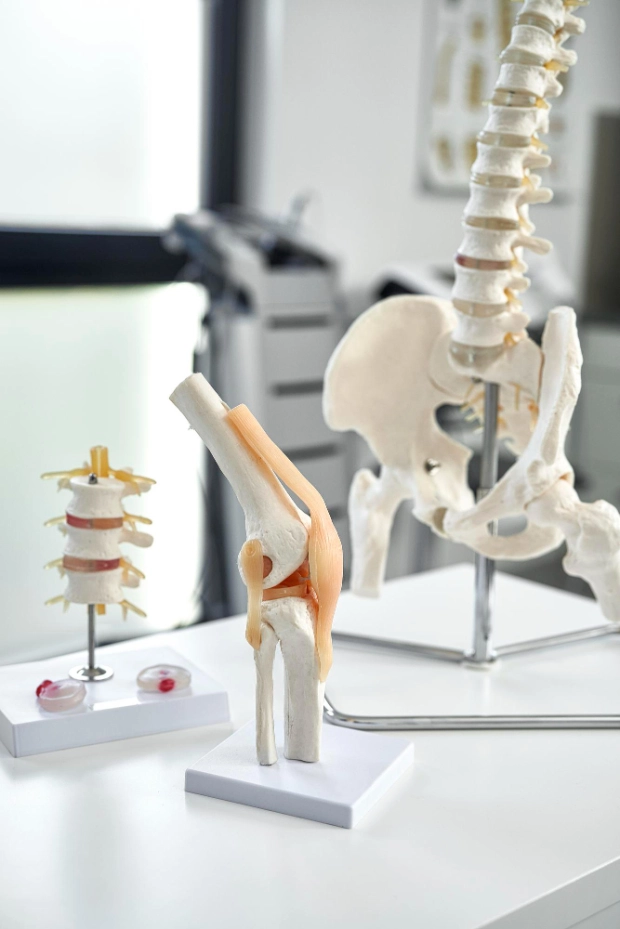 фото макетов у врача травматолога